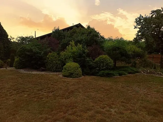 Garden at sunset – Gaja holiday home, Białowieża Forest