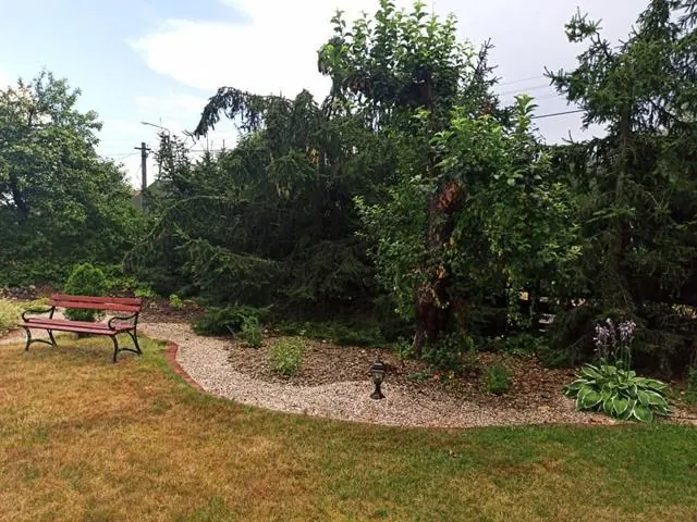Garden with a bench – Gaja holiday home, Białowieża Forest