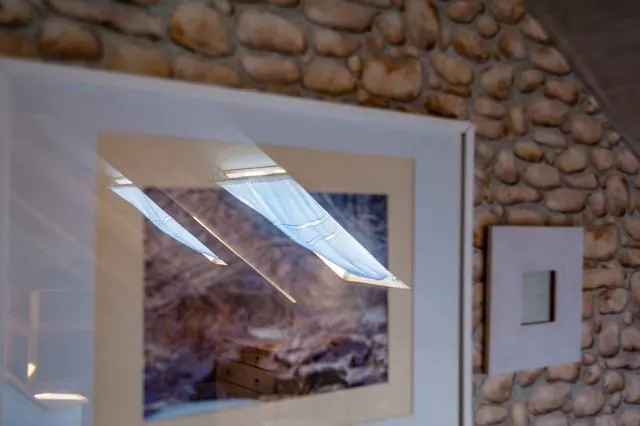 Roof windows – Gaja holiday home, Białowieża Forest